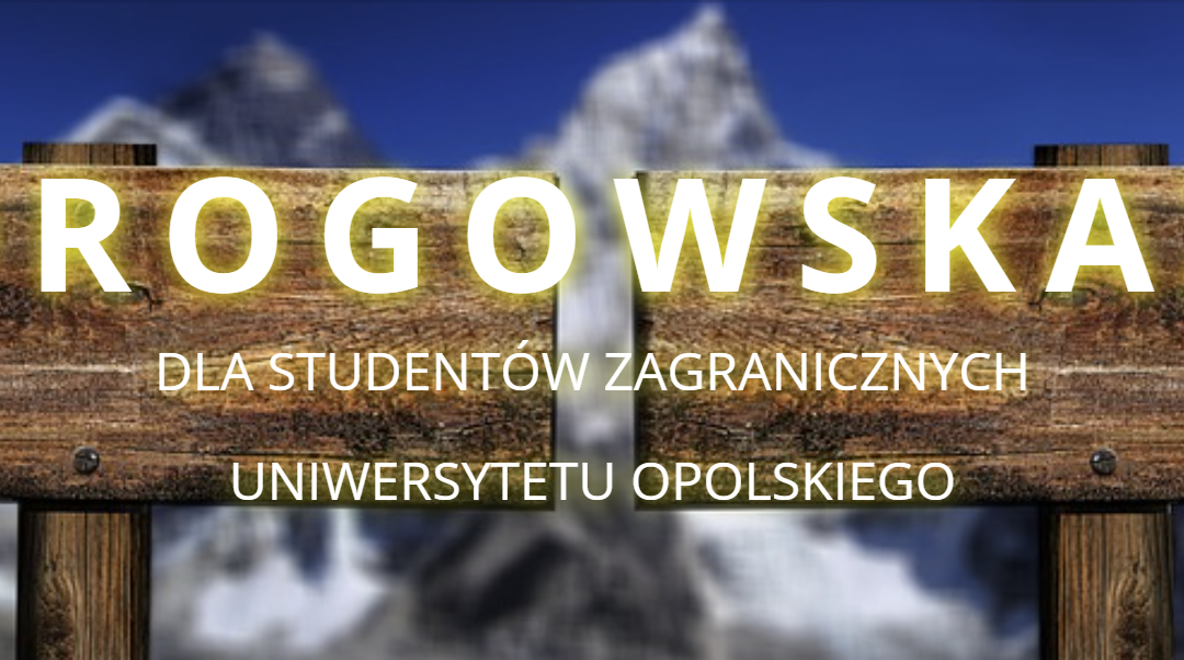 Jakość przede wszystkim…